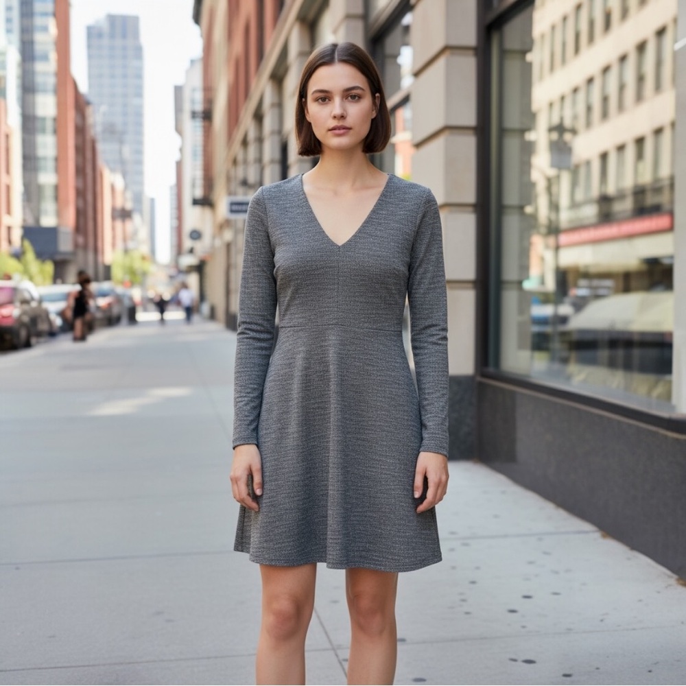 Madewell Bridgewalk Gray Long Sleeve Dress